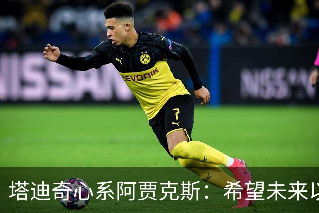 塔迪奇心系阿贾克斯：希望未来以教练身份重返